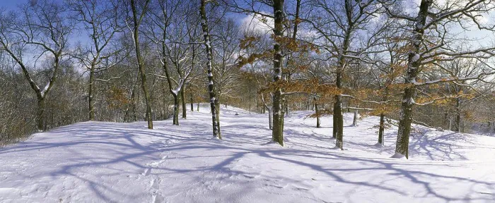 Framed Print : Winter Four Season Set