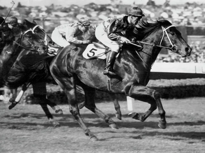 Framed Print : 'Wodalla' Racehorses. October 27, 1953 Framed Print : 'Wodalla' Racehorses. October 27, 1953