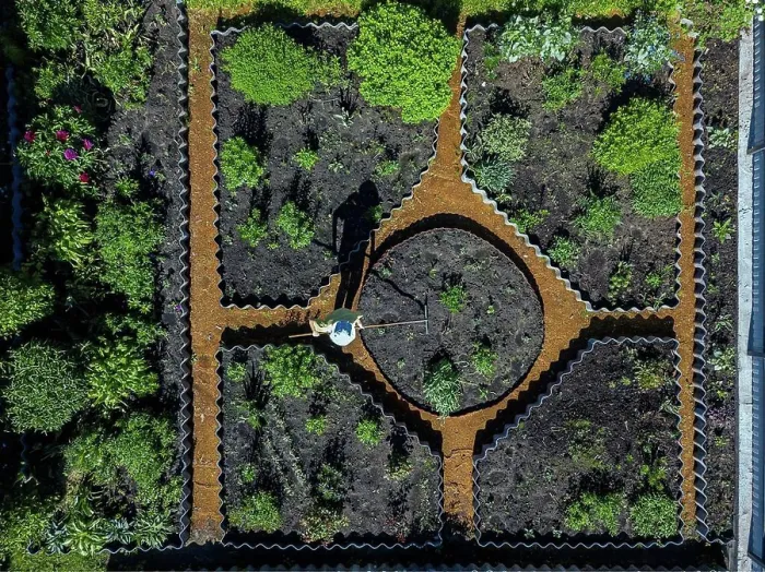 Framed Print : Woman gardening, aerial view