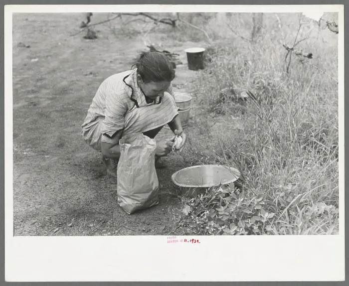 Framed Print : Woman of migrant family peeling potatoes near Henrietta Framed Print : Woman of migrant family peeling potatoes near Henrietta