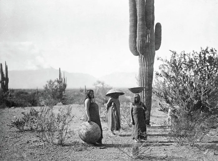 Framed Print : Three women, two of them with baskets on their heads, standing by cactus plant, Arizona