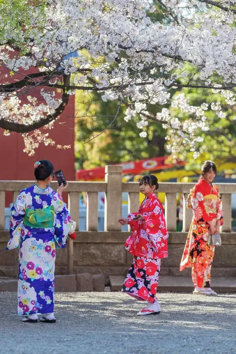 Framed Print : Women in kimonos, Sensoji Temple, Asakusa, Tokyo, Japan, Asia Framed Print : Women in kimonos, Sensoji Temple, Asakusa, Tokyo, Japan, Asia