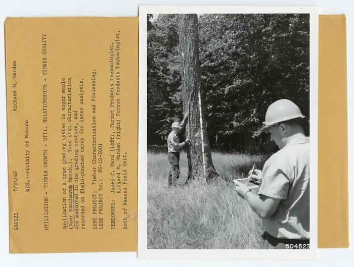 Framed Print : Wood Utilization. Photographs Relating to National Forests Framed Print : Wood Utilization. Photographs Relating to National Forests