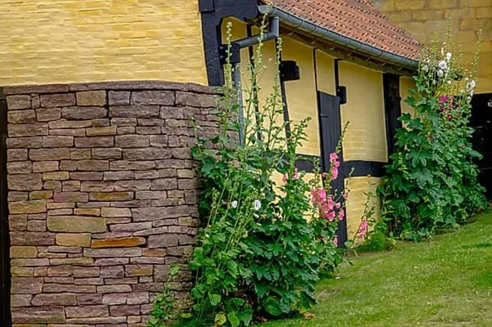 Framed Print : Yellow house with stone facade and flowers growing along the house, svaneke, bornholm, baltic sea, denmark, scandinavia Framed Print : Yellow house with stone facade and flowers growing along the house, svaneke, bornholm, baltic sea, denmark, scandinavia