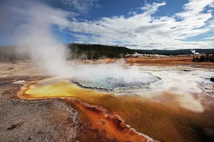 Framed Print : Yellowstone Park Framed Print : Yellowstone Park