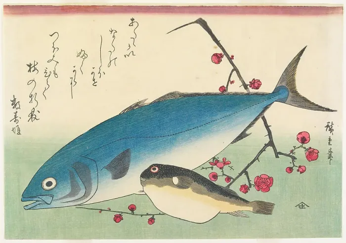 Framed Print : Yellowtail, Blowfish, and Plum Blossoms