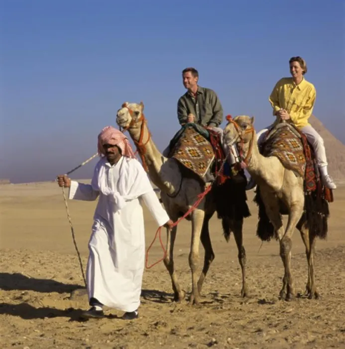 Framed Print : Young couple riding two camels leading by a Bedouin man, Giza, Egypt Framed Print : Young couple riding two camels leading by a Bedouin man, Giza, Egypt