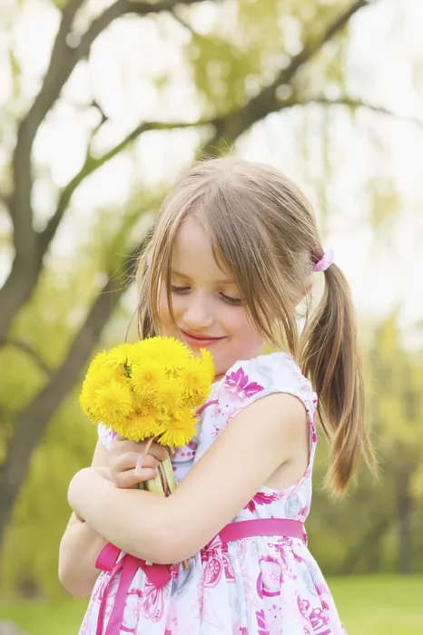 Framed Print : Young Girl Holding Bunch Of Dandelion Flowers; Toronto, Ontario, Canada Framed Print : Young Girl Holding Bunch Of Dandelion Flowers; Toronto, Ontario, Canada