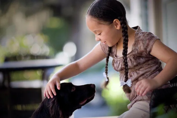 Framed Print : Young girl patting a dog on a porch