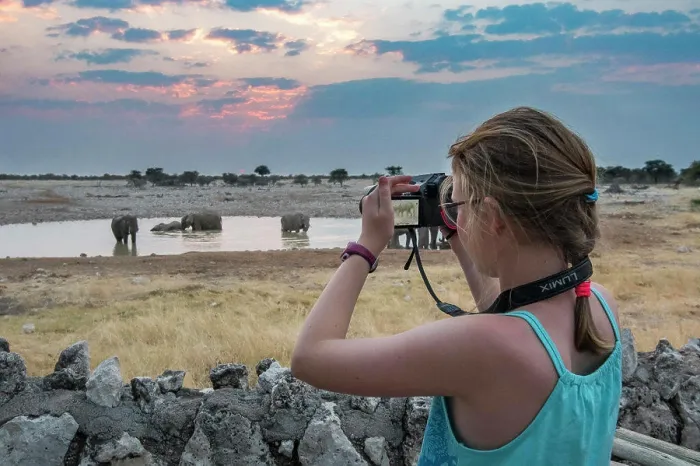 Framed Print : Young girl photographing African Elephants (Loxodonta africana) at waterhole, Etosha National Park, Namibia Framed Print : Young girl photographing African Elephants (Loxodonta africana) at waterhole, Etosha National Park, Namibia