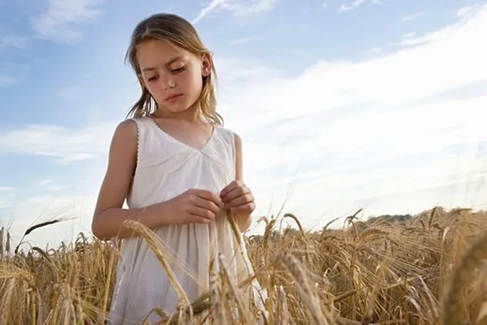 Framed Print : Young girl standing in corn field Framed Print : Young girl standing in corn field