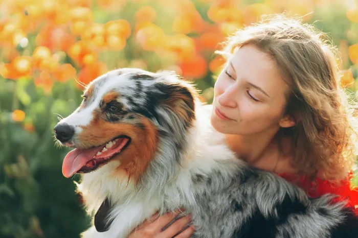 Framed Print : young woman and her australian shepherd dog Framed Print : young woman and her australian shepherd dog