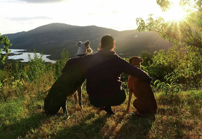 Framed Print : Young woman with her dogs at sunset Framed Print : Young woman with her dogs at sunset