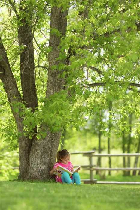 Framed Print : Younge girl reading a book under a tree in Northern Alberta, Canada Framed Print : Younge girl reading a book under a tree in Northern Alberta, Canada
