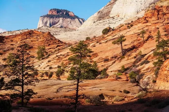 Framed Print : Zion National Park Framed Print : Zion National Park