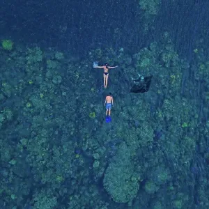 Aerial view of two people swimming near manta ray in blue waters of Pacific Ocean Aerial view of two people swimming near manta ray in blue waters of Pacific Ocean