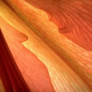 Close-up of Flower Petal Close-up of Flower Petal