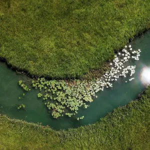 Drone view of water lilies growing in¶ÿZeller¶ÿAche river Drone view of water lilies growing in¶ÿZeller¶ÿAche river