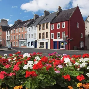 Flowers Along A Street In A Residential Area, Jedburgh, Scottish Borders, Scotland Flowers Along A Street In A Residential Area, Jedburgh, Scottish Borders, Scotland