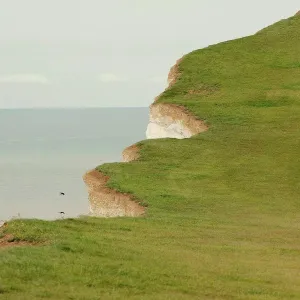 Grassed chalk cliff top with broken edge, Eastbourne, Uk Grassed chalk cliff top with broken edge, Eastbourne, Uk