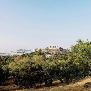 Greece, Athens, Acropolis and Parthenon surrounded by olive trees as seen from Areopagus Greece, Athens, Acropolis and Parthenon surrounded by olive trees as seen from Areopagus