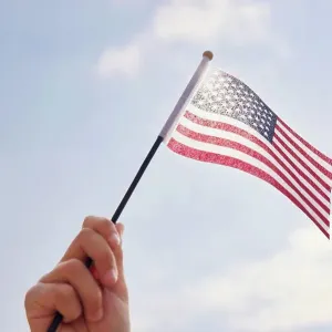 Hand holding American Flag Hand holding American Flag