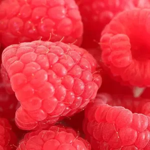 Himbeeren Schöne rote Himbeeren als Nahaufnahme Copyright: xZoonar.com/AndreasxNaumannx 10307912 Himbeeren Schöne rote Himbeeren als Nahaufnahme Copyright: xZoonar.com/AndreasxNaumannx 10307912