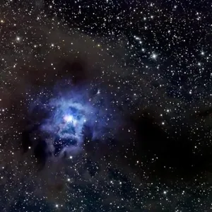 The Iris Nebula, also known as NGC 7023 and Caldwell 4 The Iris Nebula, also known as NGC 7023 and Caldwell 4