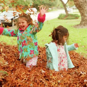 Little girls playing in the autumn leaves