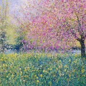 The Lower Lawn, Byfleet Manor-Spring Morning, April 2004 Charles Neal (b.1951/British) Oil on canvas The Lower Lawn, Byfleet Manor-Spring Morning, April 2004 Charles Neal (b.1951/British) Oil on canvas