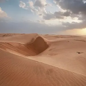 Sand dunes at sunset in the Wahiba Sands desert, Oman, Middle East Sand dunes at sunset in the Wahiba Sands desert, Oman, Middle East
