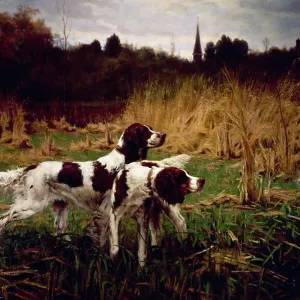 Setters Afield, Autumn by Percival Leonard Rosseau, (1859-1937) Setters Afield, Autumn by Percival Leonard Rosseau, (1859-1937)