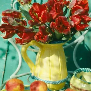 Still-Life of red tulips in jellow jug