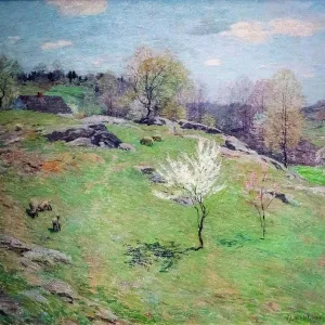 Unfolding Buds; 1909 Oil on canvas Willard Metcalf; American; 1858 - 1925 Unfolding Buds; 1909 Oil on canvas Willard Metcalf; American; 1858 - 1925