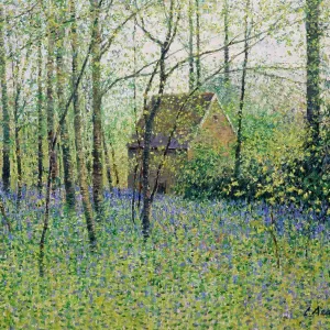 View to Bothy, Bluebell Wood, Cerney House by Charles Neal, b.1951 British View to Bothy, Bluebell Wood, Cerney House by Charles Neal, b.1951 British