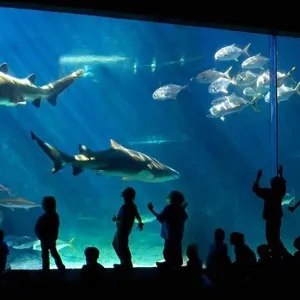 Visitors Enjoying a Large Aquarium Visitors Enjoying a Large Aquarium