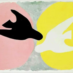 The white bird and the black bird, The birds (L'oiseau blanc et l'oiseau noir, Les oiseaux), Braque, Georges (1882-1963) The white bird and the black bird, The birds (L'oiseau blanc et l'oiseau noir, Les oiseaux), Braque, Georges (1882-1963)