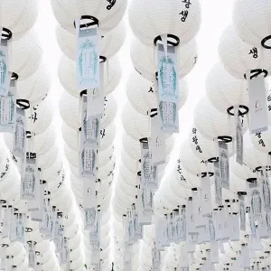 White lanterns at the Bongeunsa buddhist temple, Seoul, South Korea White lanterns at the Bongeunsa buddhist temple, Seoul, South Korea