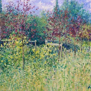 The Wild Garden-Afternoon, May 2004 Charles Neal (b.1951/British) Oil on canvas The Wild Garden-Afternoon, May 2004 Charles Neal (b.1951/British) Oil on canvas