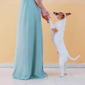 Woman holding dog legs while standing on sidewalk by wall