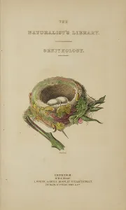 Title Prints: 1835 Antique Art Biology Bird Birds Classification