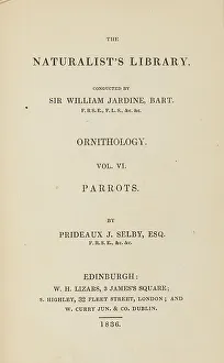 Hiresdigitized Prints: 1835 Antique Art Biology Bird Birds Classification