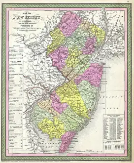 Geographicus Prints: 1850 Cowperthwait - Mitchell Map of New Jersey