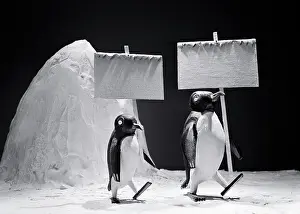 Penguin Prints: 1930s TWO PENGUIN FIGURES MARCHING WITH BLANK EMPTY PLACARDS PROTEST SIGNS