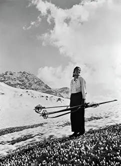 Alps Prints: 1930S Woman Holding Skis Poles Standing On Crocuses In Snowy Alps Near Davos Switzerland Spring Change Of Seasons