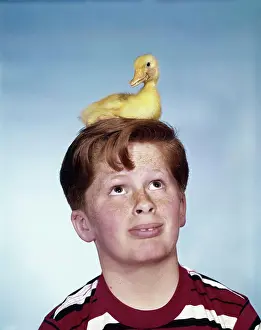 Facial Prints: 1950S 1960S Boy With Baby Duckling Sitting On Top Of His Head