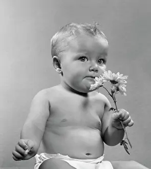 Nappy Prints: 1950S Baby Sitting Full Figure Holding Smell Smelling Flowers Daisy Aroma Odor Fragrance Sniff Whiff Diaper