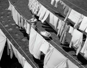 Parenting Prints: 1950S Housewife Hanging Laundry In Backyard