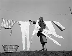 Dried Prints: 1950S Housewife Removing Frozen Long Johns From Clothesline