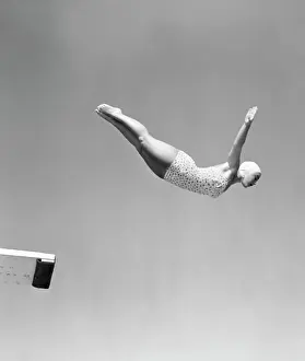 Dive Prints: 1950S Woman Swan Dive Off Diving Board One Piece Bathing Suit Cap